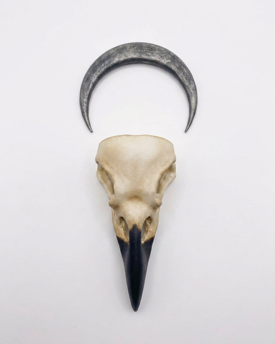 The Crow's Curse: Gothic Raven Skull Hair Pin & Moon Crescent Hair Pin