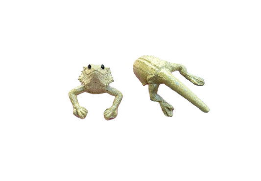 Bearded Dargon Earrings 2PC